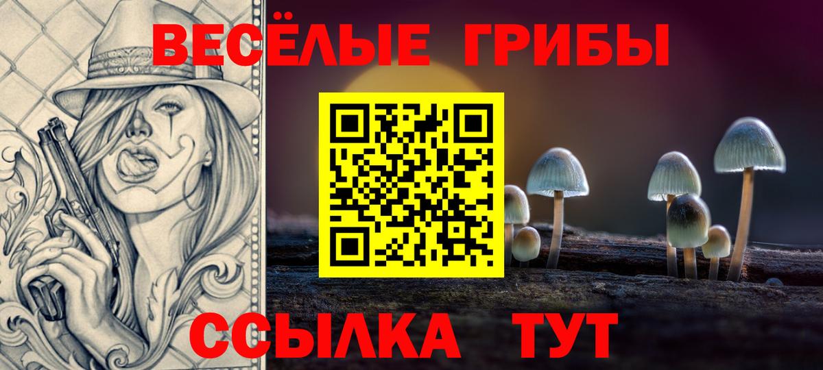 Шебекино  Псилоцибиновые грибы MAGIC MUSHROOMS  Вход с VPN  где можно купить наркотик  Галлюциногенные грибы Cubensis 